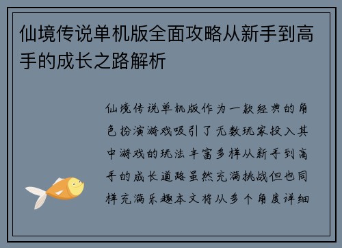 仙境传说单机版全面攻略从新手到高手的成长之路解析